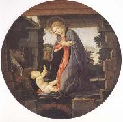 Sandro Botticelli Madonna in Adoration of the Christ Child oil painting on canvas